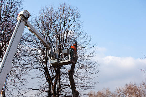 Soil Testing and Treatment in Bellevue, NE